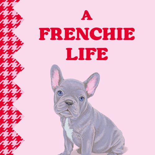 Lauren Mortimer Colours Animals Illustrator from United Kingdom