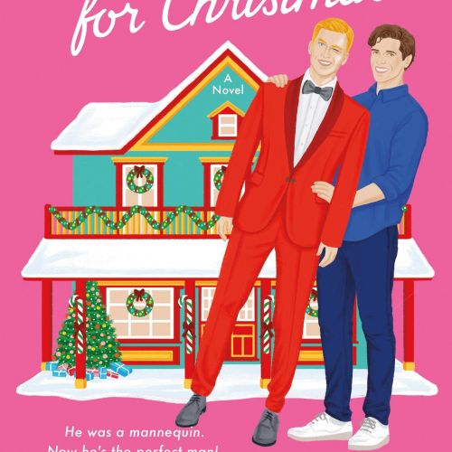 Book cover showing two men in front of a Christmas-decorated house.
