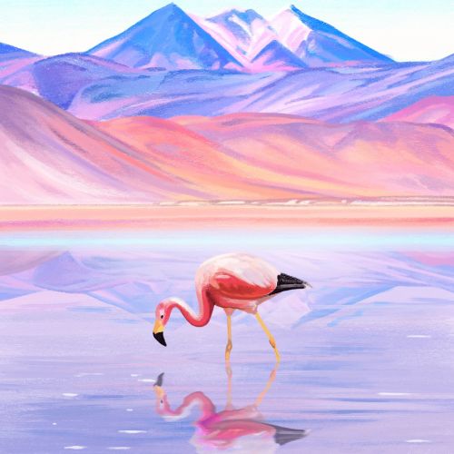 Flamingo standing in desert lake reflecting mountains by Lauren Mortimer Colours