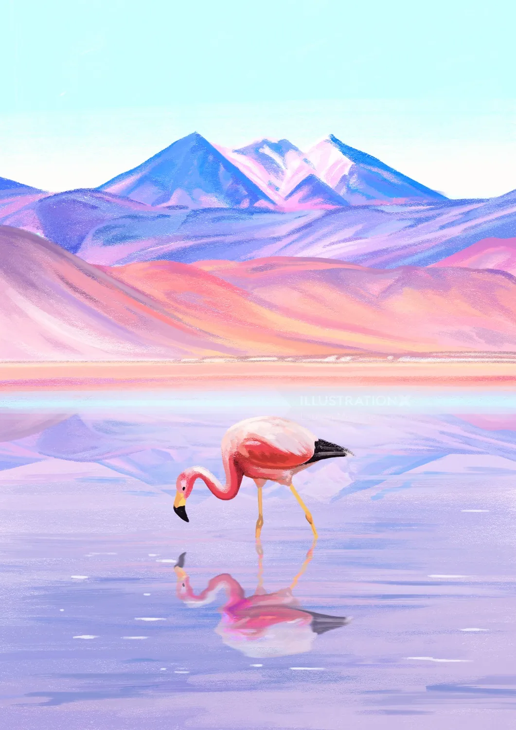 Flamingo standing in desert lake reflecting mountains by Lauren Mortimer Colours
