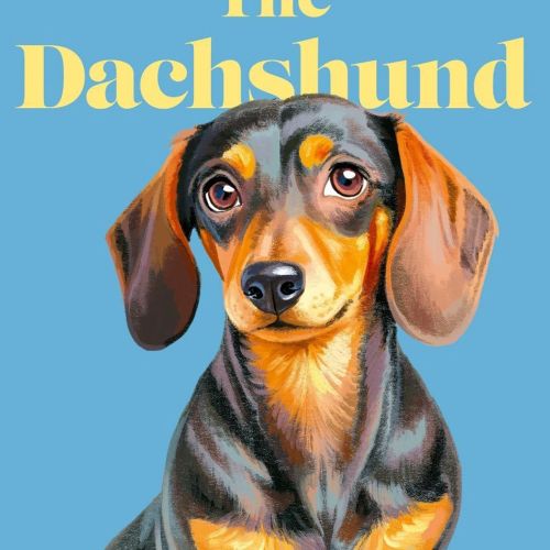 Lauren Mortimer Colours Book Covers Illustrator from United Kingdom