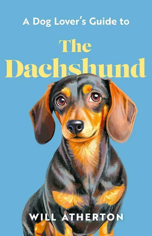 The Dachshund book cover with a dachshund illustration by Lauren Mortimer Colours