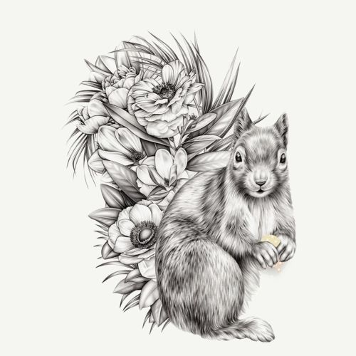 Pencil drawing of Squirrel in flowers