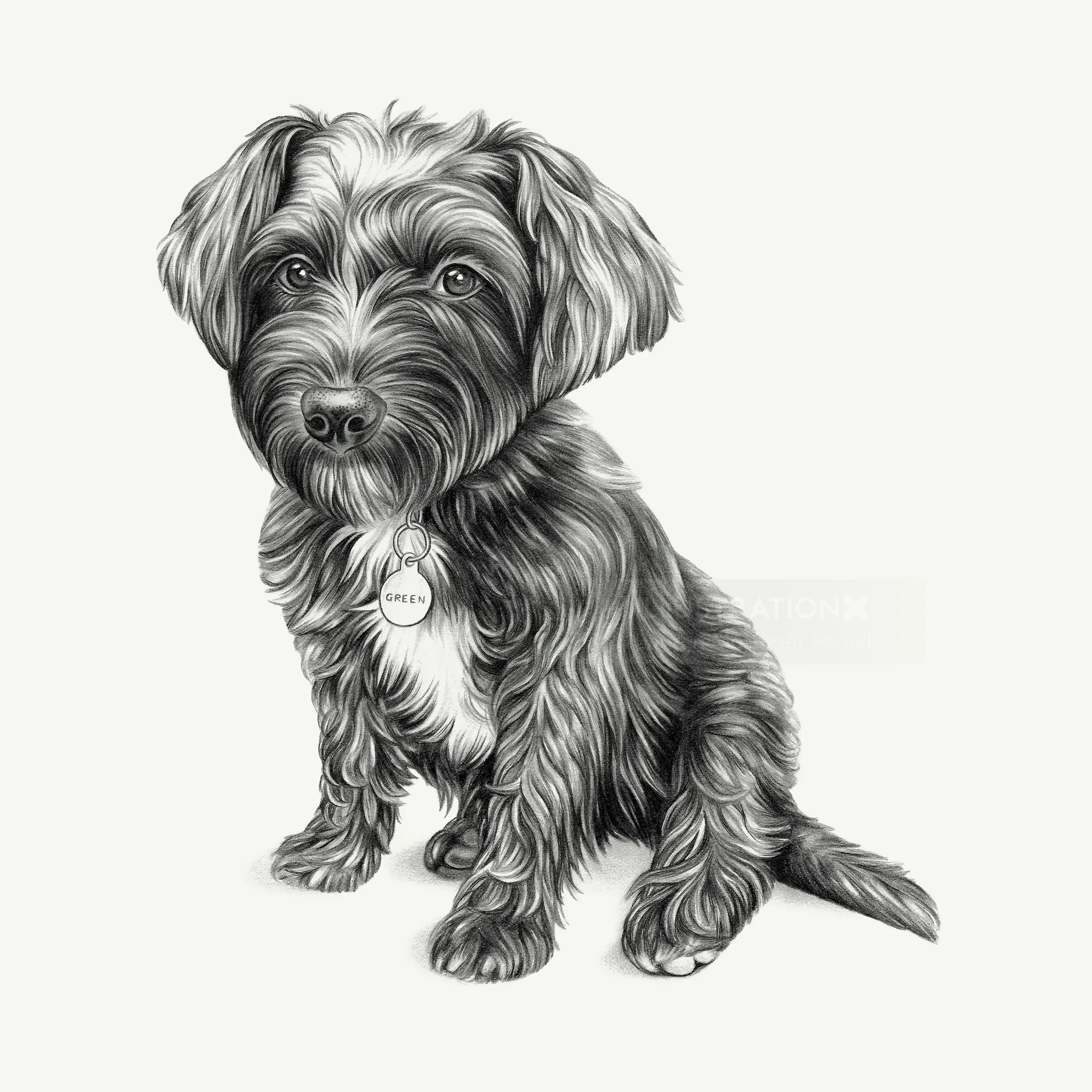 Animal Dog black and white art