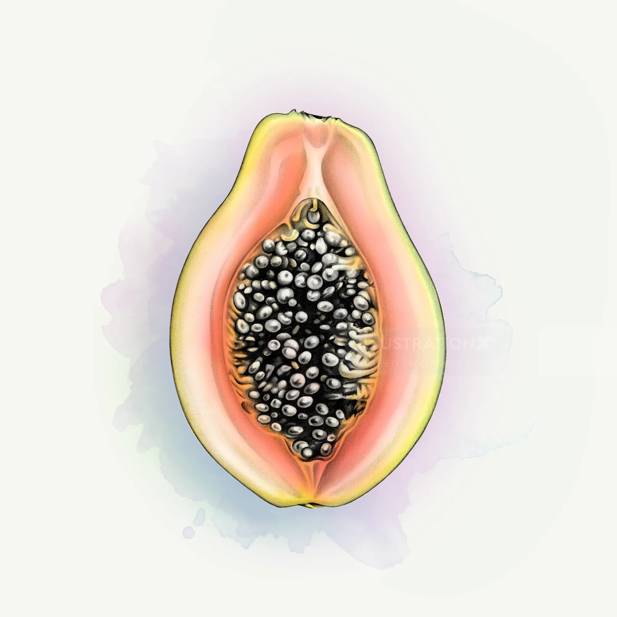 Photorealistic illustration of papaya