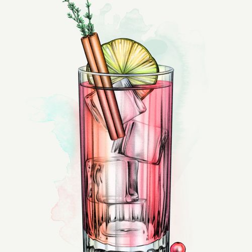 Realistic visual of Dona Vega Cocktail