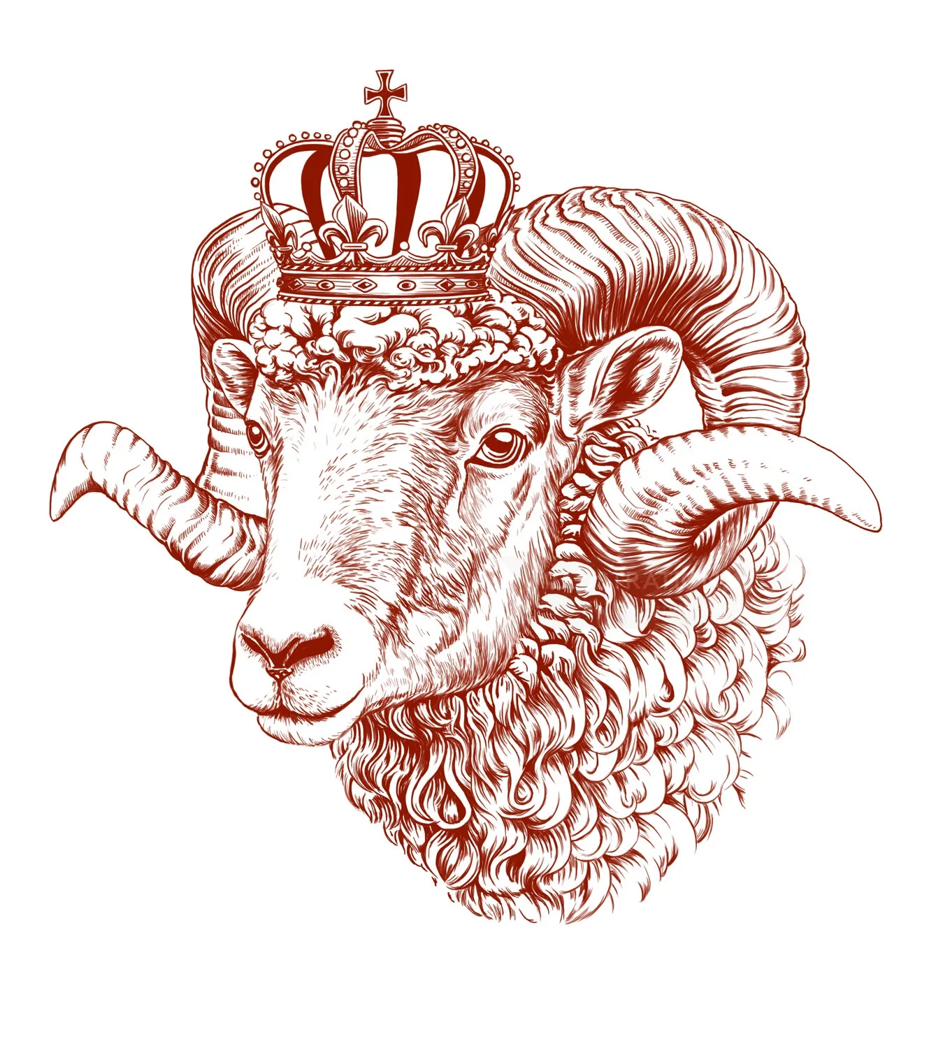 Detailed pencil drawing of a ram wearing a royal crown by Lauren Mortimer Pencils