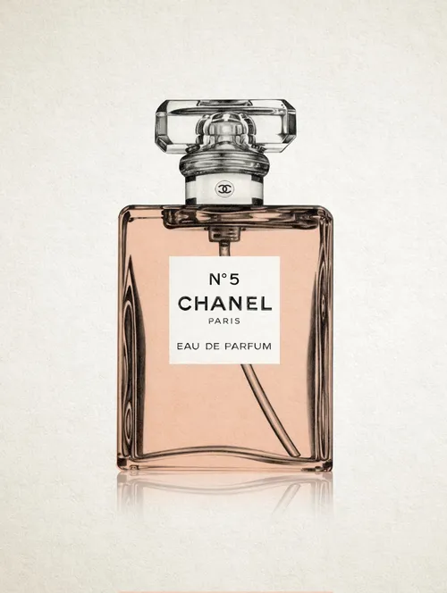 Chanel No.5 perfume bottle - Beauty illustration