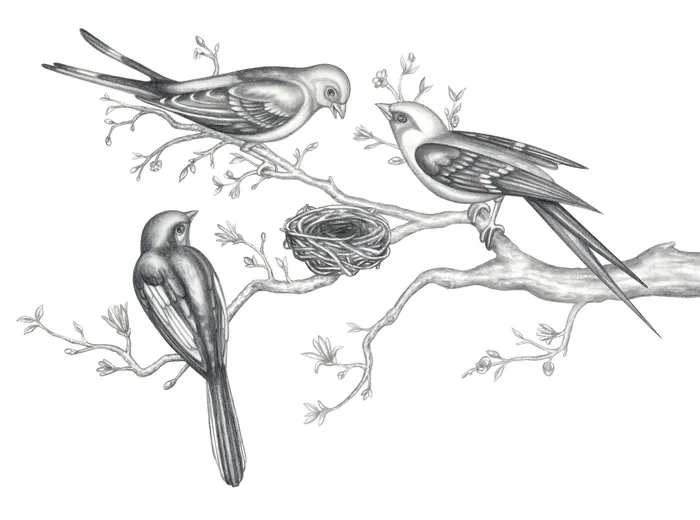 Dessin au crayon d'oiseaux et de l'arbre