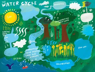 Illustration of the water cycle with sun, clouds, forest, and water bodies