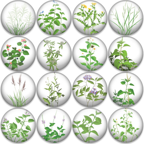 Illustration of plant icons