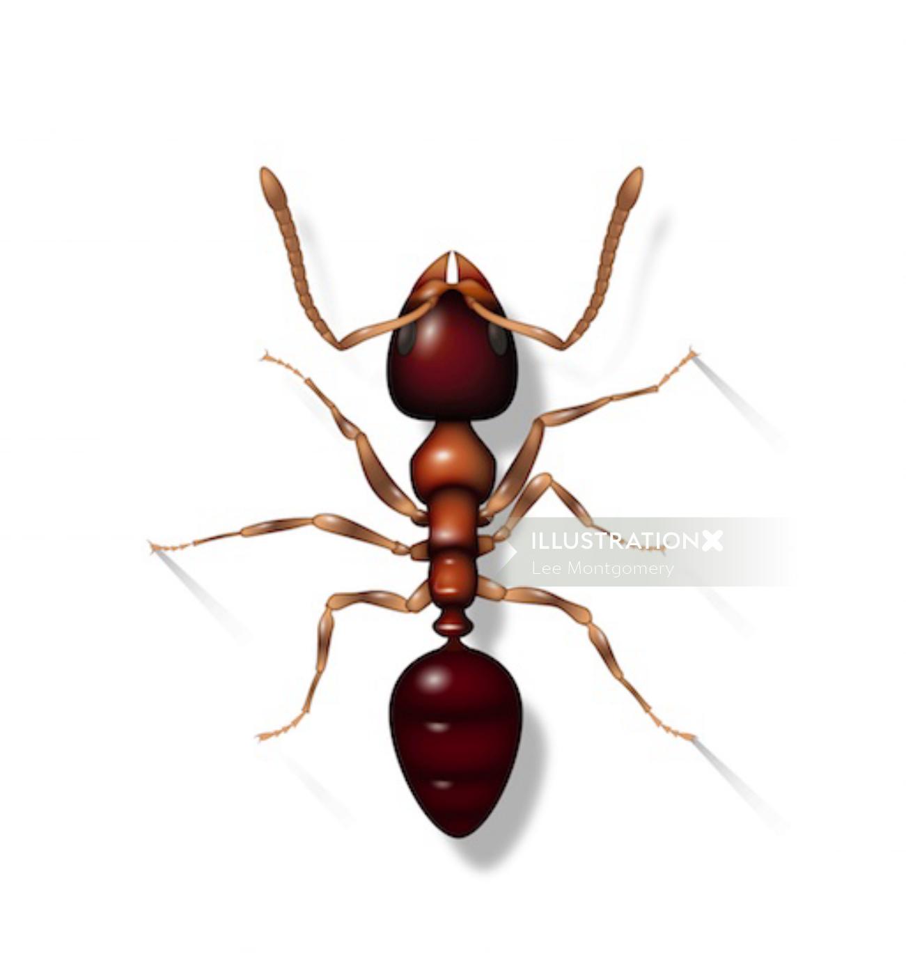 Animación de hormiga