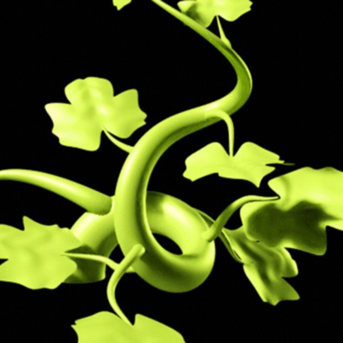Vine 3d animation

