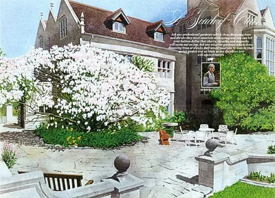 Illustration of Magnolia House with blooming magnolia tree by Lee Montgomery