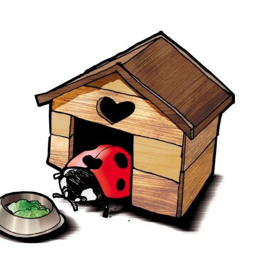 Illustration of Bug in dog house
