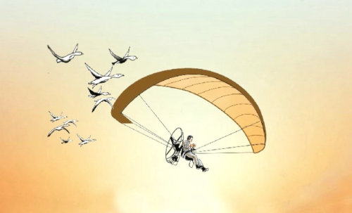 男子在城市滑翔伞的动画