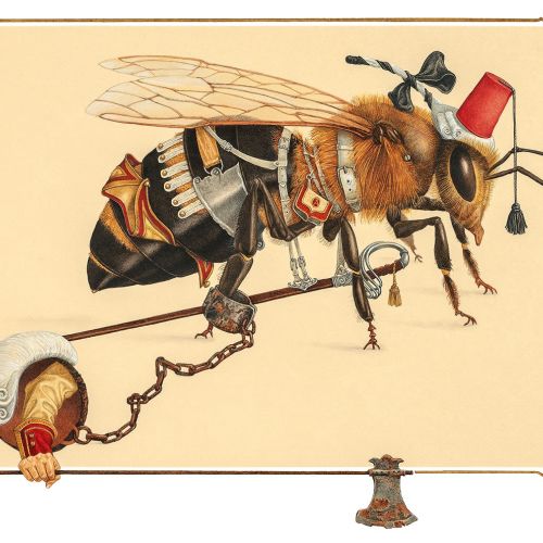 Steampunk Realistic insect machinery illustration