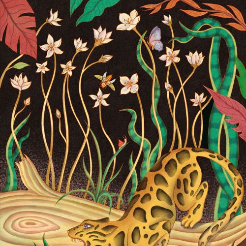 Leopard walking on log surrounded by wild jasmine flowers and plants by Leyla Cui
