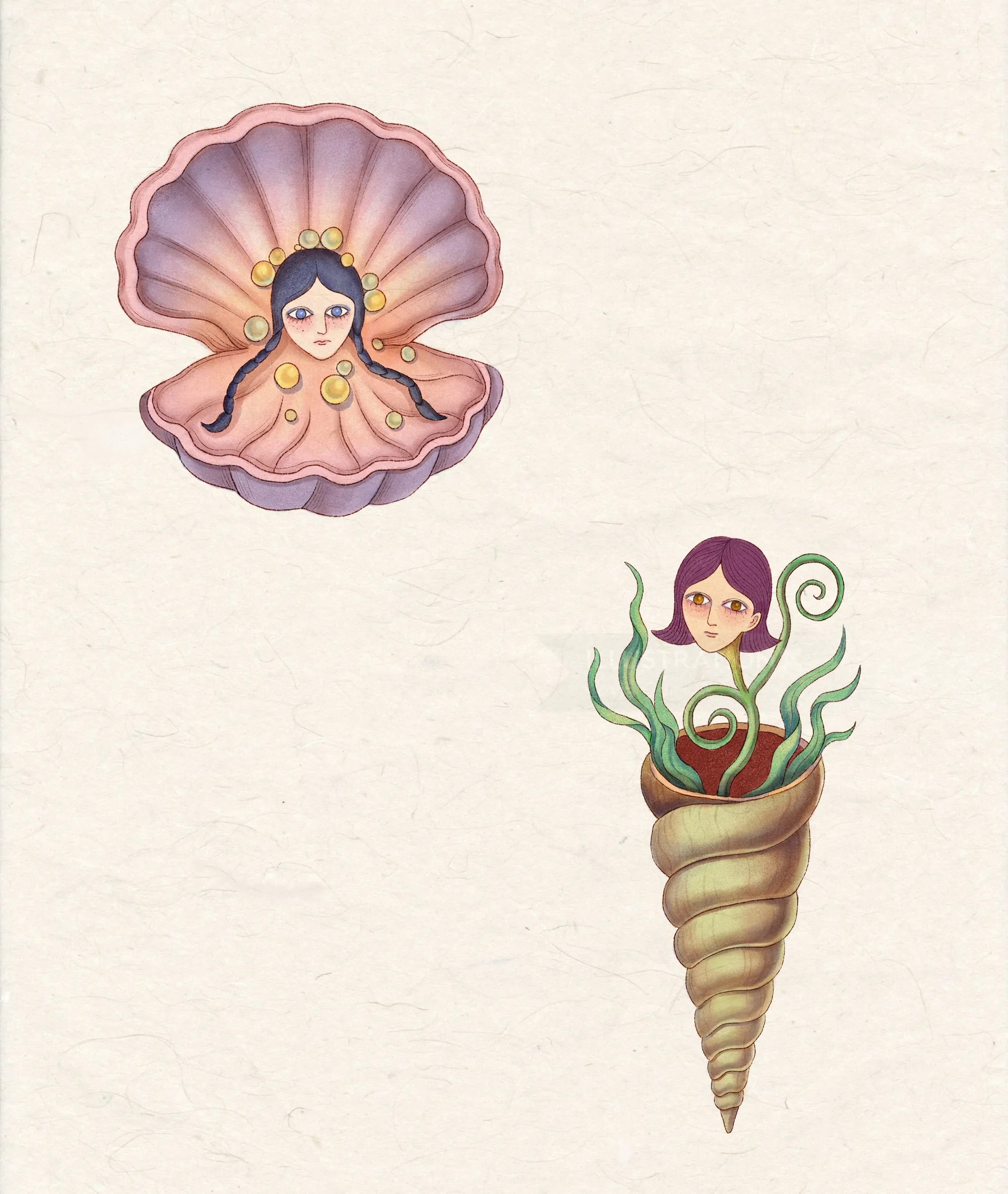 Illustration of a woman in a pink shell and another in a spiral shell by Leyla Cui