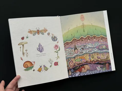 Artbook pages showing nature-inspired drawings by Leyla Cui