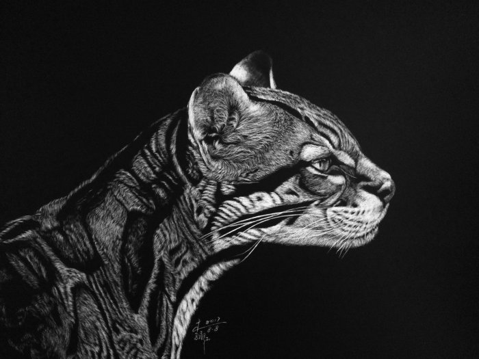 Illustration de portrait de guépard