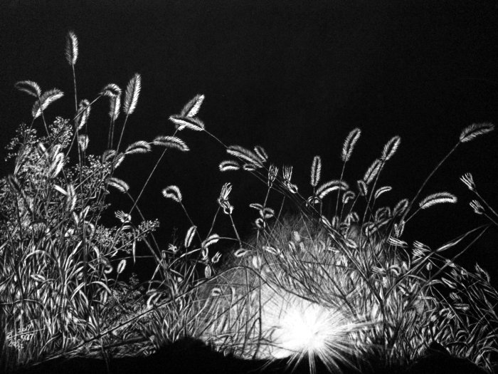 Ilustración en blanco y negro de la noche brillante