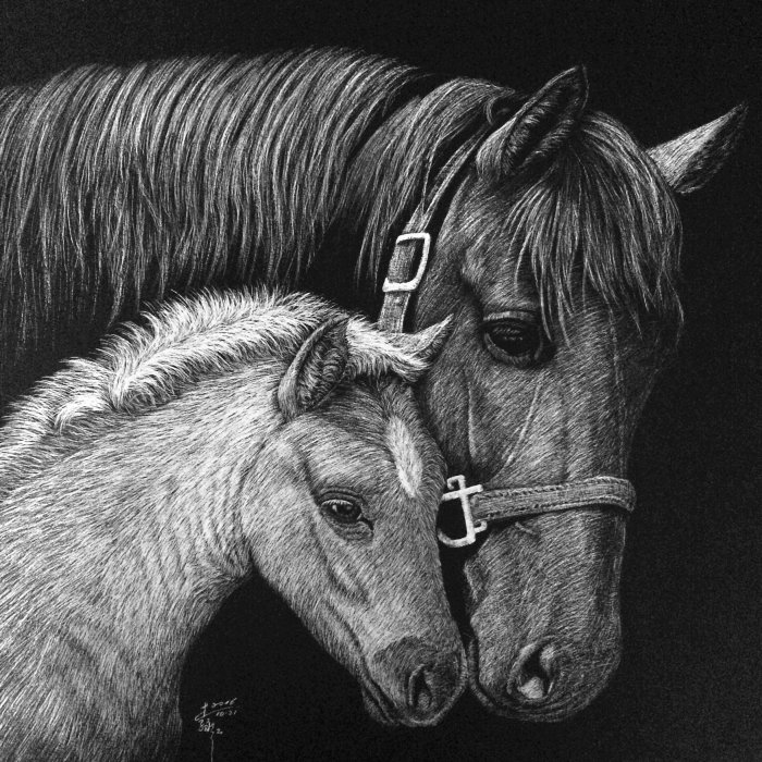 Ilustración de animales de melena caballo