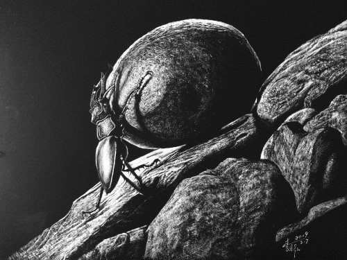 Pencil drawing of Ant taking food 
