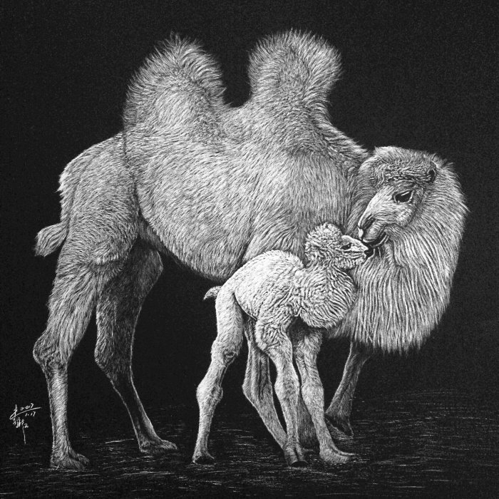 Ilustración animal de camello
