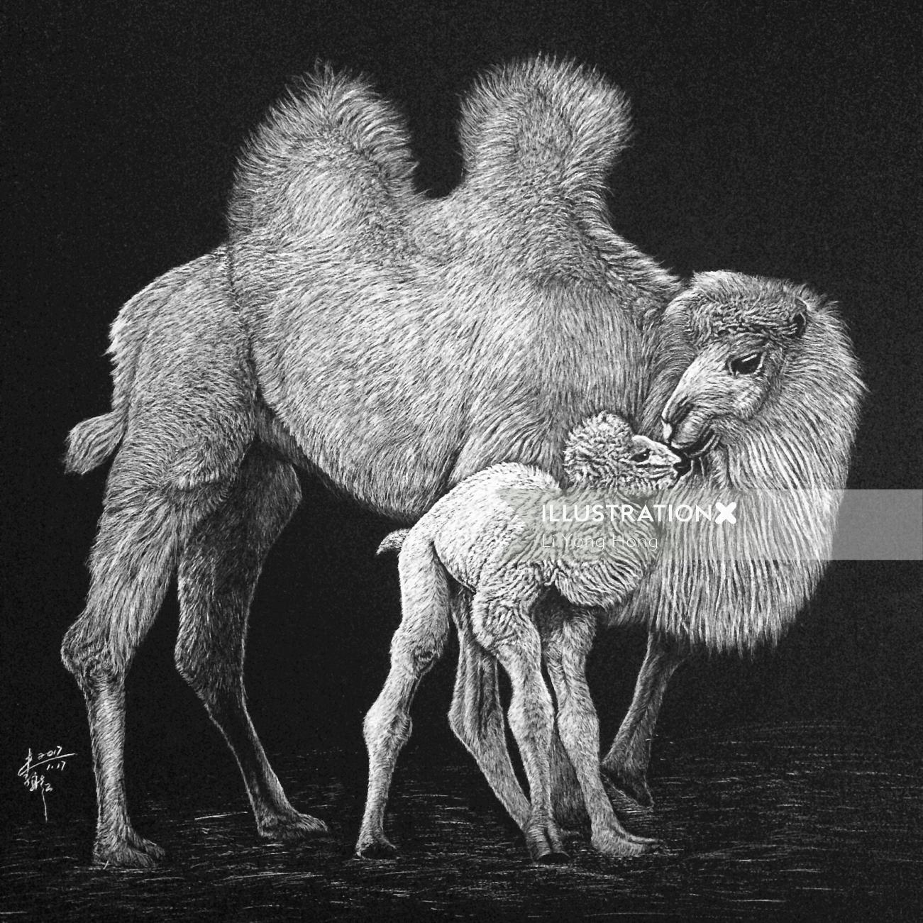 Animal illustration of camel 