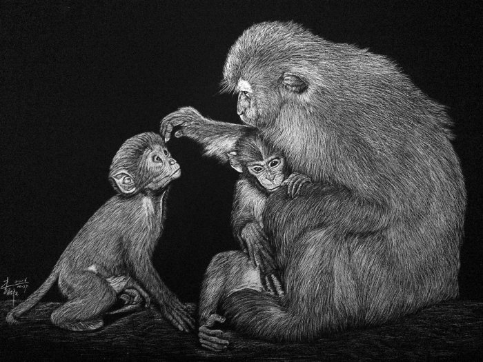 Monos del nuevo mundo dibujo en blanco y negro