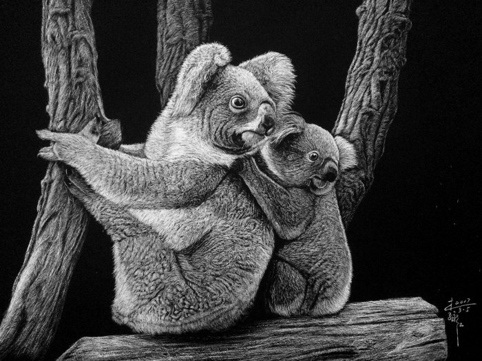 Ilustración de animales Koala