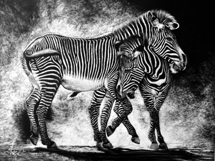 Ilustração animal da zebra