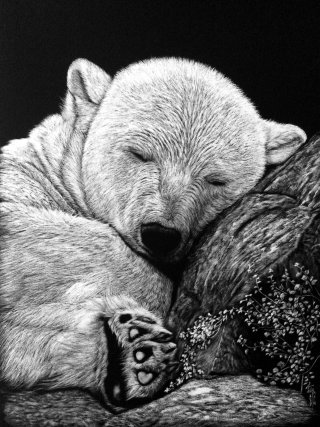 Ilustración de animal oso grizzly