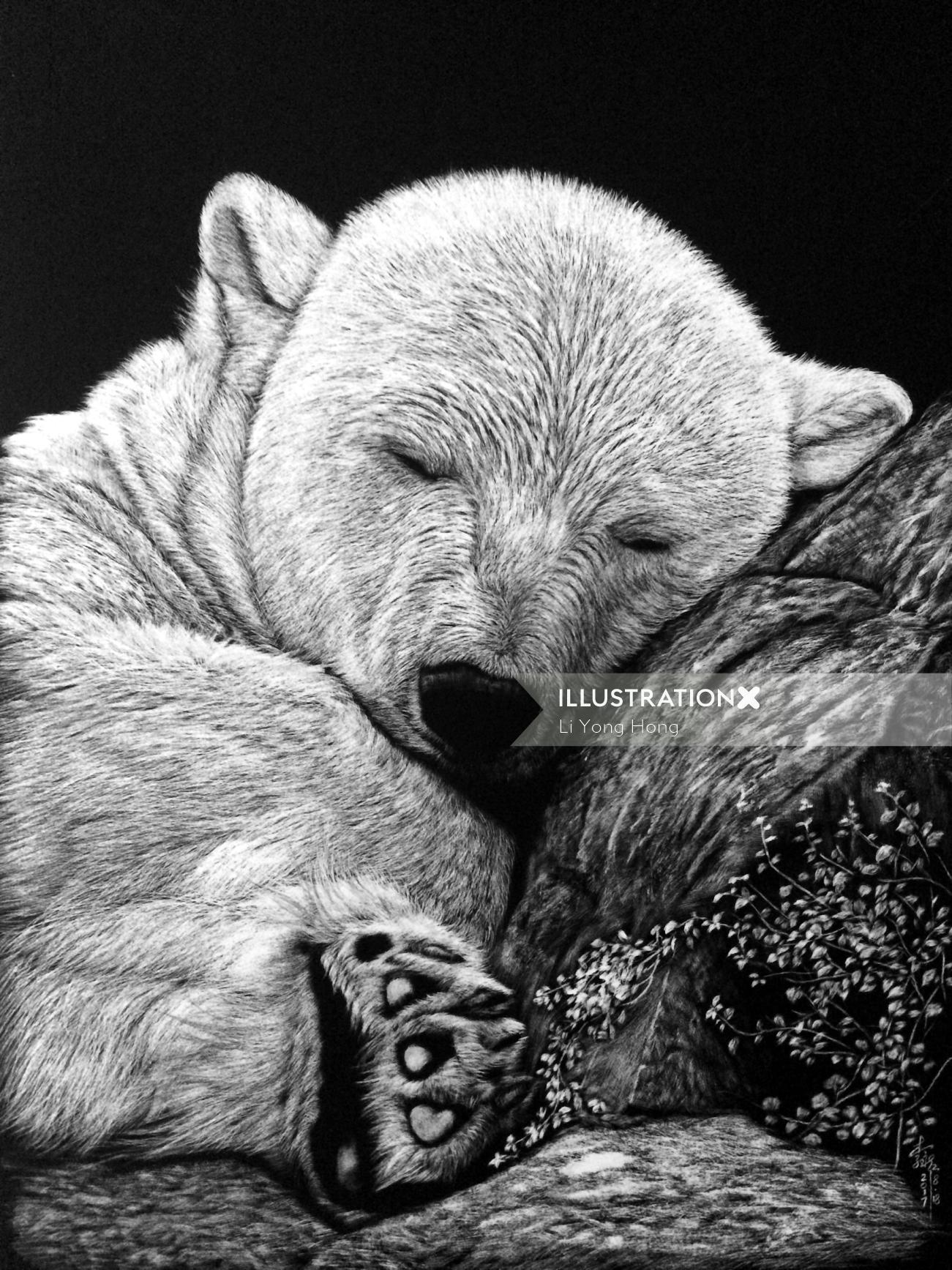 Grizzly bear animal illustration 