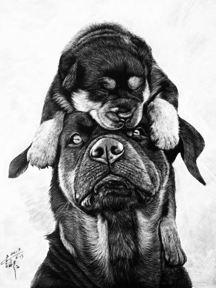 Ilustración animal de razas de perros antiguas