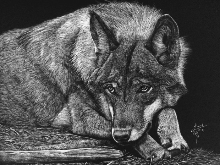 Ilustración animal de lobo