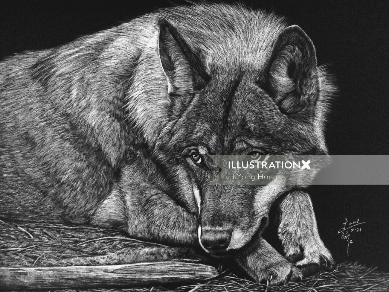 Animal illustration of wolf 