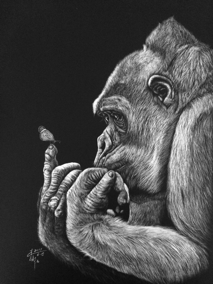 Ilustración animal de gorila