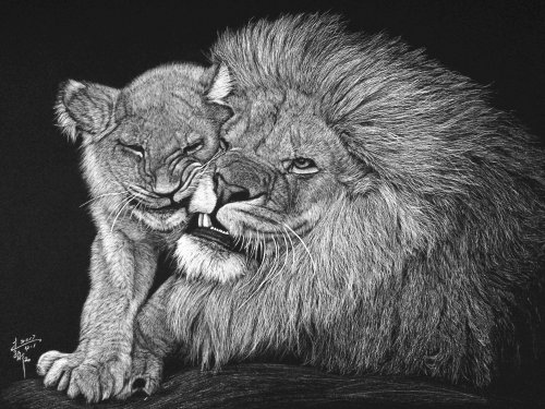Lion Love with child nature illustration 