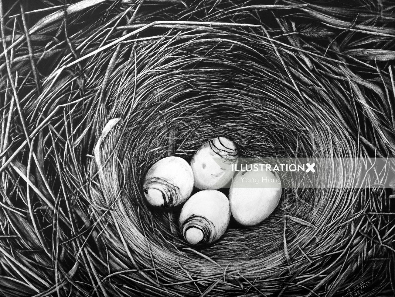 Ilustração da natureza do ninho de pássaros com ovos