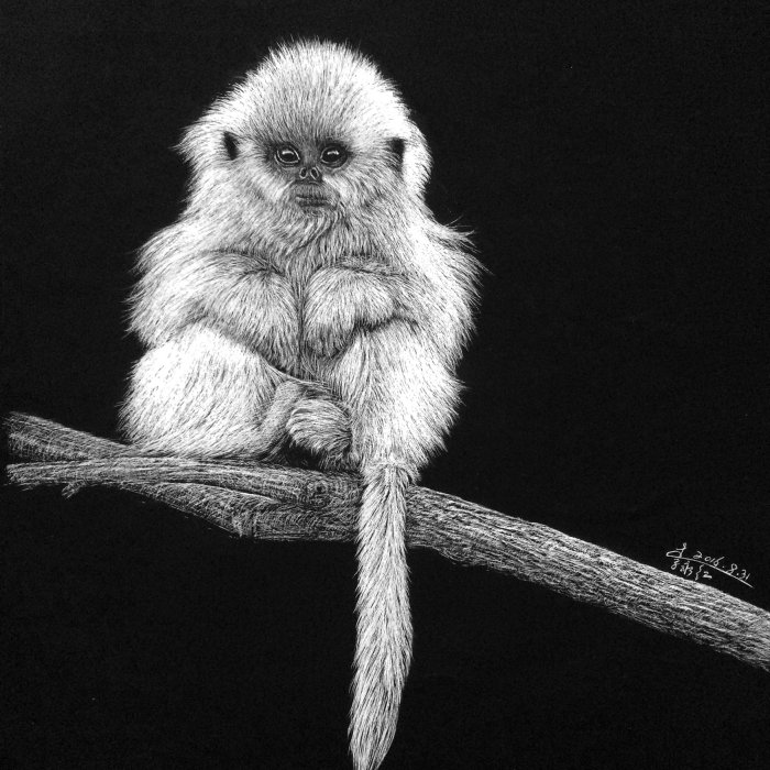 Ilustración animal del mono tití