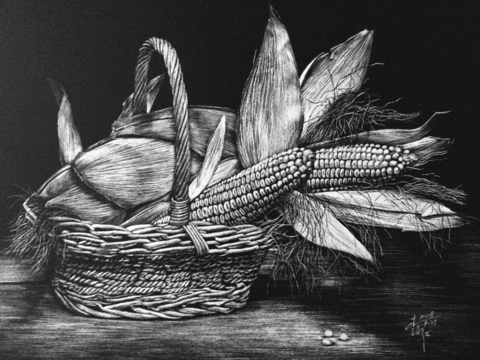 玉米的黑白绘图