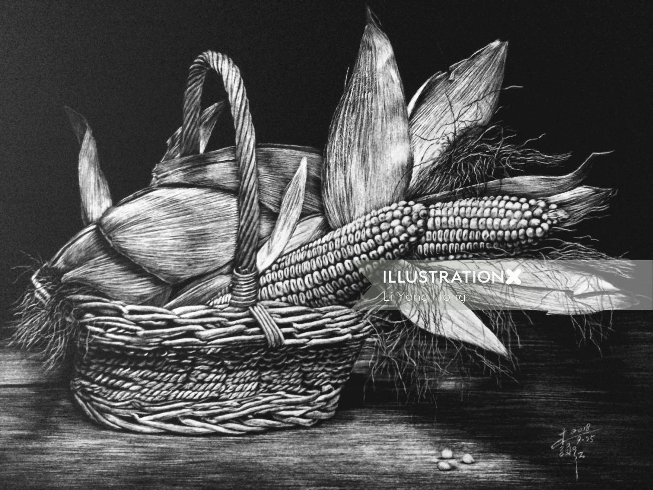 Black and white drawing of corn 