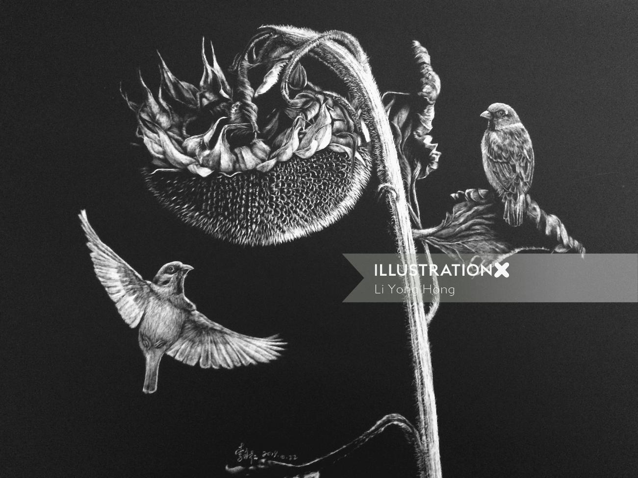Ilustração animal de Hawk Bird
