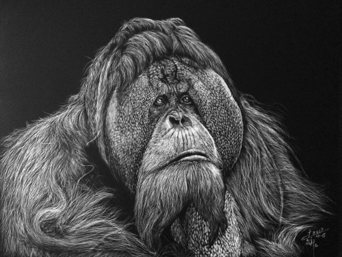 Black and white illustration of King Kong