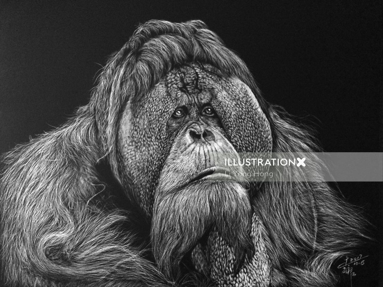 Black and white illustration of King Kong