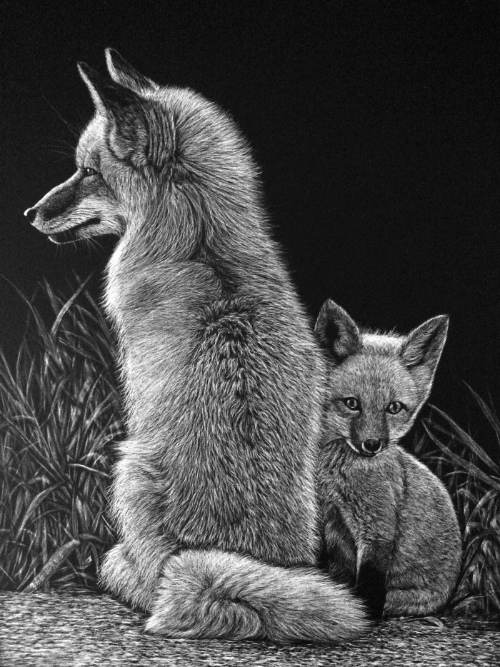 Illustration d&#39;animaux de loup de la toundra d&#39;Alaska