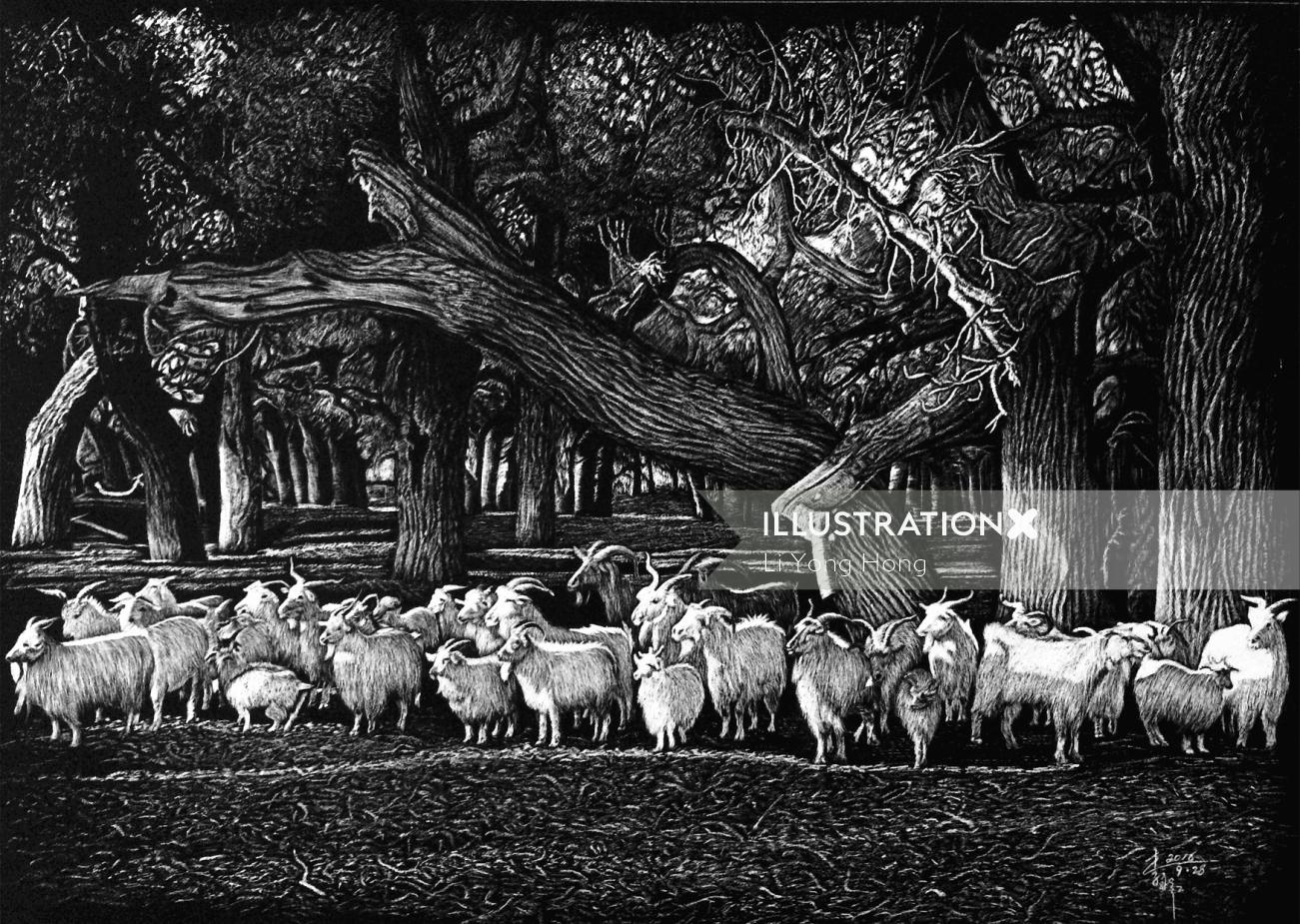 Nature illustration of Herd