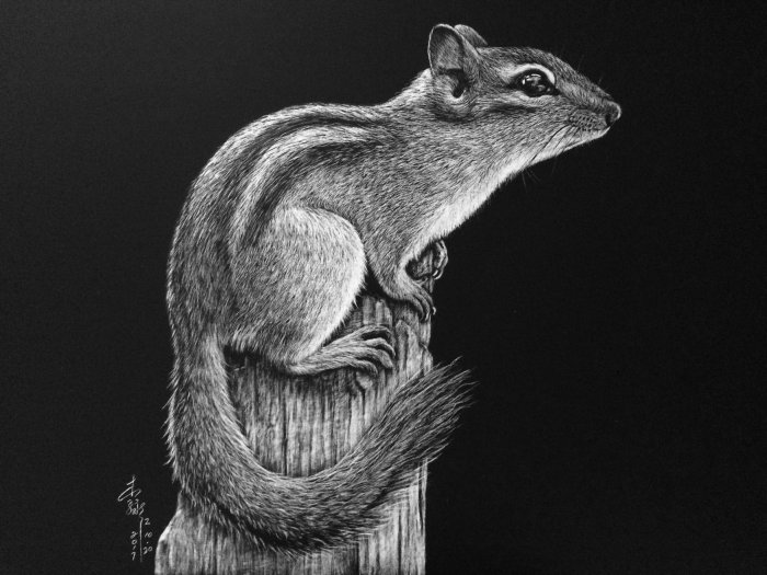 Ilustración animal de ardilla de roca